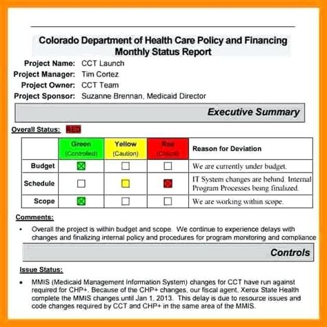 Executive Summary Project Status Report Template 2 Templates
