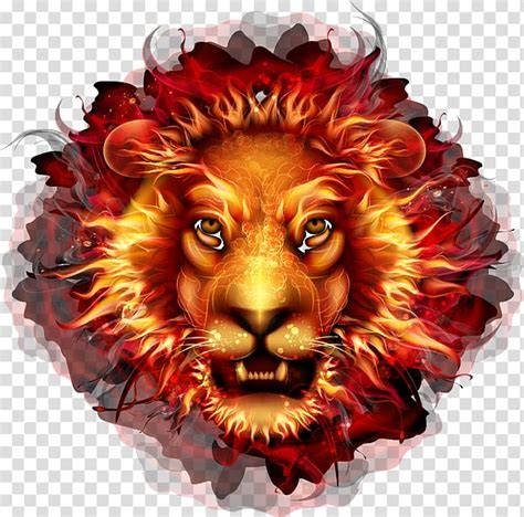 Burning Lion Illustration Lionhead Fire Flame Lion Transparent