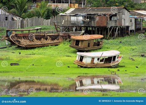 boats in amazonia stock image image of boats water home 3898263