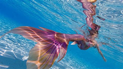 Mermaids Arrive At Sea Life Kansas City On Friday Fox 4 Kansas City