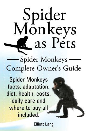 Spider Monkeys As Pets Spider Monkeys Facts Adaptation Diet Health