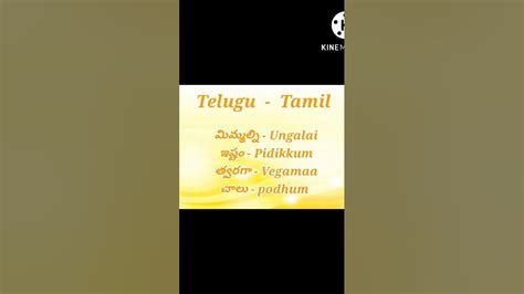 Learn Tamil Through Telugu Youtube