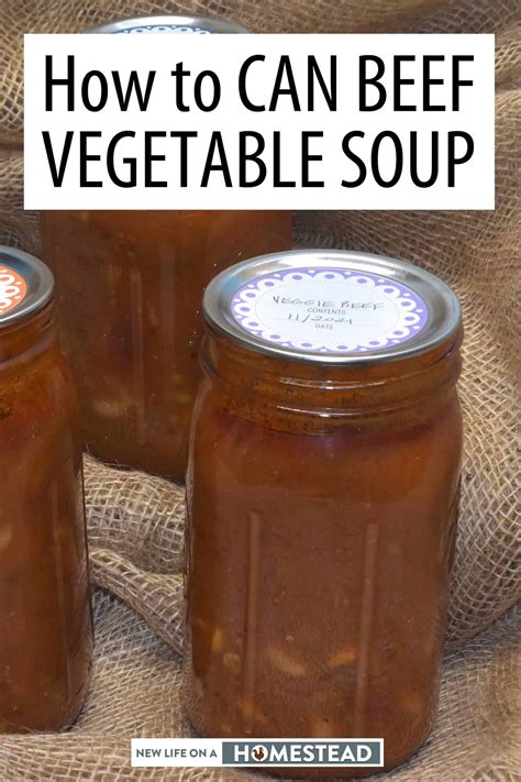 How To Can Beef Vegetable Soup • New Life On A Homestead