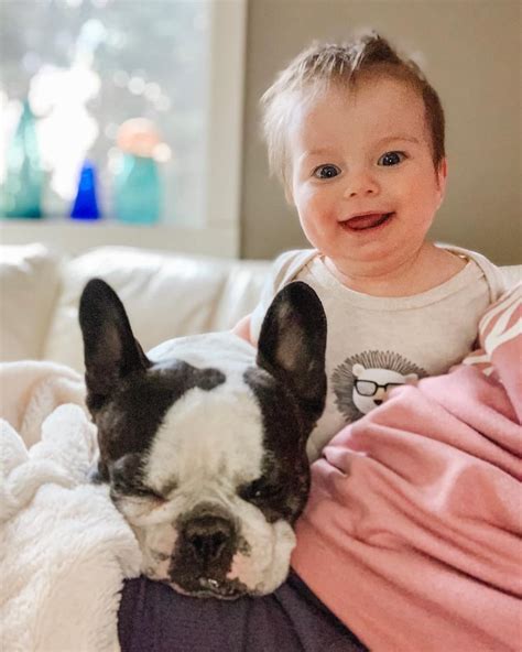 Pictures Of French Bulldogs And Babies Popsugar Uk Parenting Photo 7