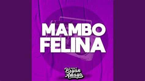 Mambo Felina Youtube Music