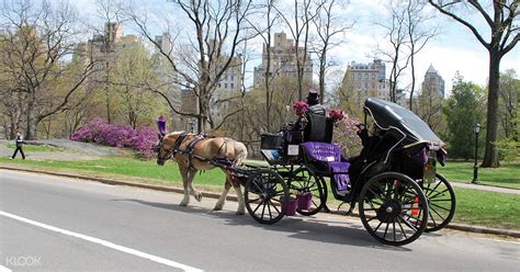 Central Park Horse And Carriage Rides New York City Klook Uk