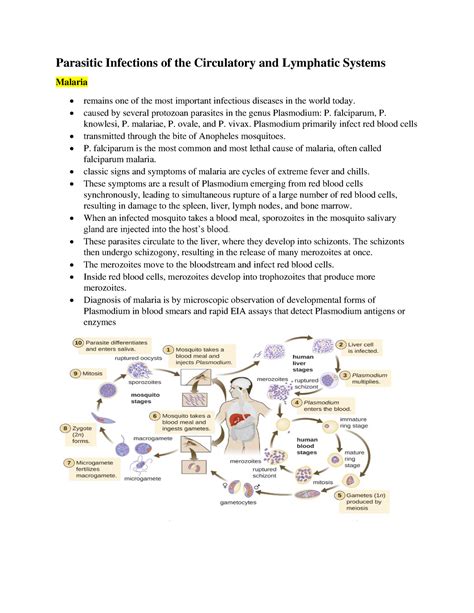Unit 10 Parasitic Infections Of The Circulatory And Lymphatic Systems Parasitic Infections Of