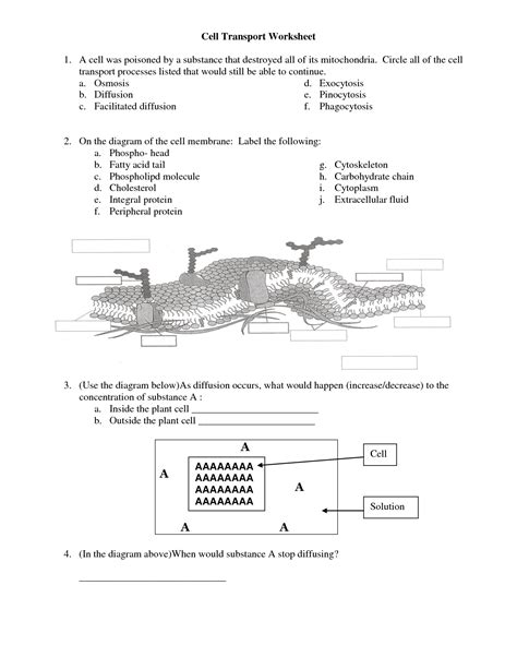 Yeah, reviewing a ebook cell cycle mitosis webquest answer key could mount up your close associates listings. 18 Best Images of Cell Cycle Labeling Worksheet Answers - Cell Cycle Worksheet Answers, Cell ...