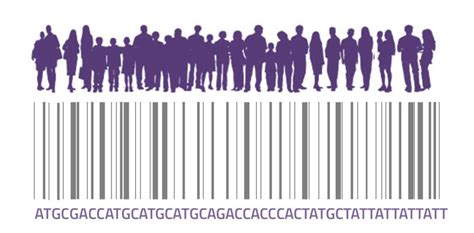La Importancia De Estudiar Las Interacciones Entre Genes Genotipia