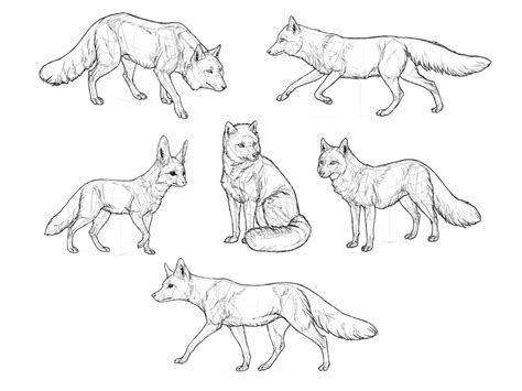 Sketchbook Original How To Draw Foxes Monika Zagrobelna Fox