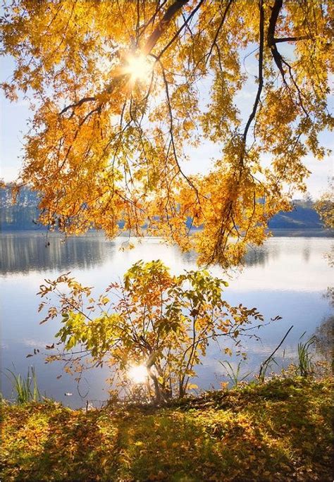The Breath Of Autumn By Aleksandr Kitsenko Beauty Will Save в 2020 г