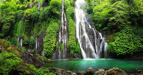 Waterfall In Rainforest Mountain Cascades Exotic Greenery