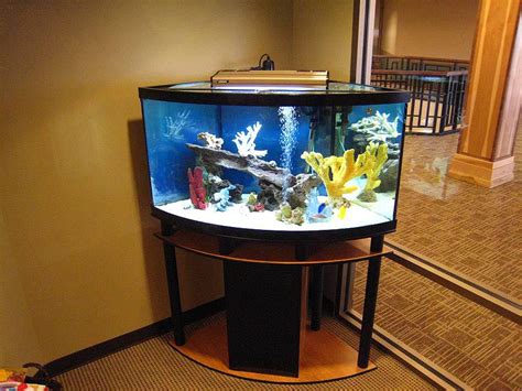 30 Gallon Long Aquarium Stand Aquarium Design Ideas