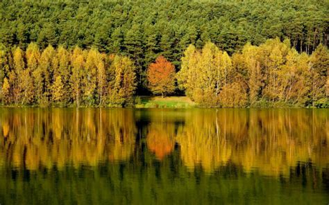 Reflection Water Trees Forest Photo 3492 Hd Stock Photos