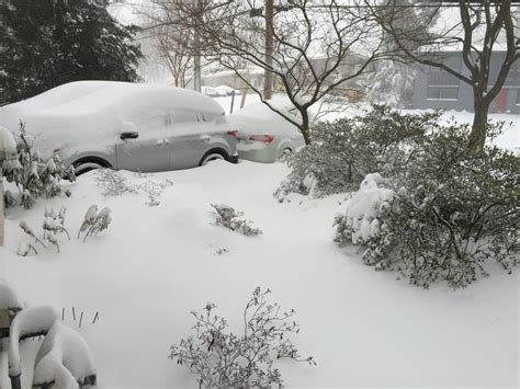 Photos The Blizzard Of 2016 Wtop News
