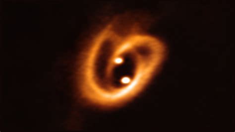 Twin Baby Stars Caught Feeding From Their Mother A Twisted Pretzel