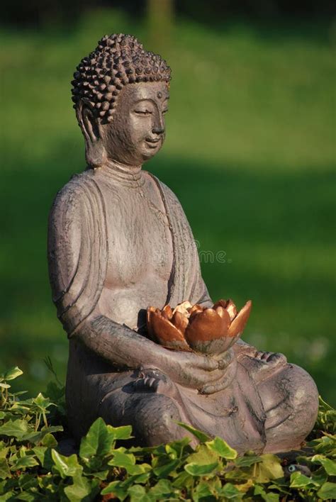 Relaxation Buddha Stock Image Image Of Relaxing Taichi 21445621