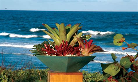 Container Gardens Palm Beach Landscape Designer Pamela Crawford