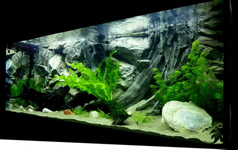 Details 300 3d Aquarium Backgrounds Diy Abzlocalmx