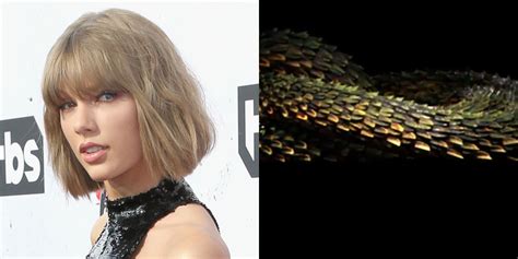 Taylor Swift Shares Another Cryptic Video Revealing More Of That Snake