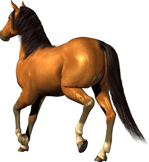 Horse Clip Art Horse Png Image Download Picture Transparent