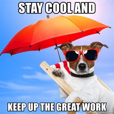 Explore and share the best good job gifs and most popular animated gifs here on giphy. Stay cool and keep up the great work - Summer dog | Meme ...