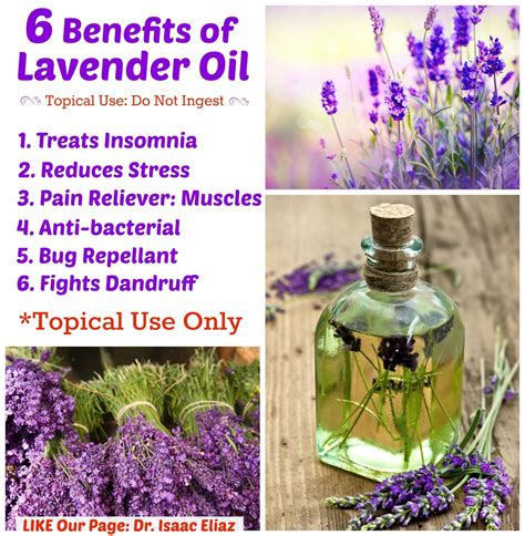Lavender Oil Lavender Benefits Lavender Oil Benefits Lavender Oil