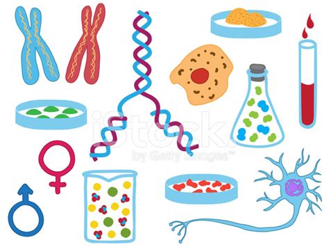 Illustration Of Biology Icons Stock Photo Royalty Free Freeimages