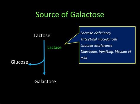 Fructose And Galactose Metabolism
