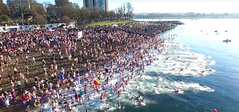 Vancouver Polar Bear Swim Vancouver Attractions And Information