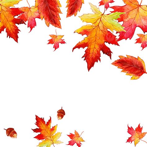 Autumn Leaves Watercolor Vector Hd Png Images Beautiful Watercolor