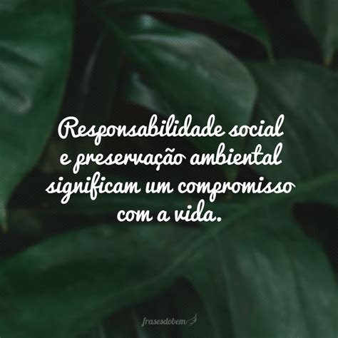 Tanto A Reflexão Quanto As Práticas Voltadas à Responsabilidade Socioambiental