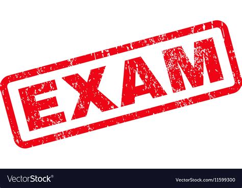 Exam Text Rubber Stamp Royalty Free Vector Image