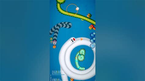 Worms Zone Magic 🐍 Killer Snake Gameplay Shorts Snake Snakegame 14