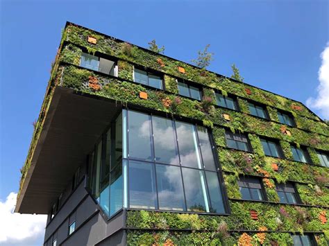 Biophilic Design What Is It And How Does It Work Cubicoon