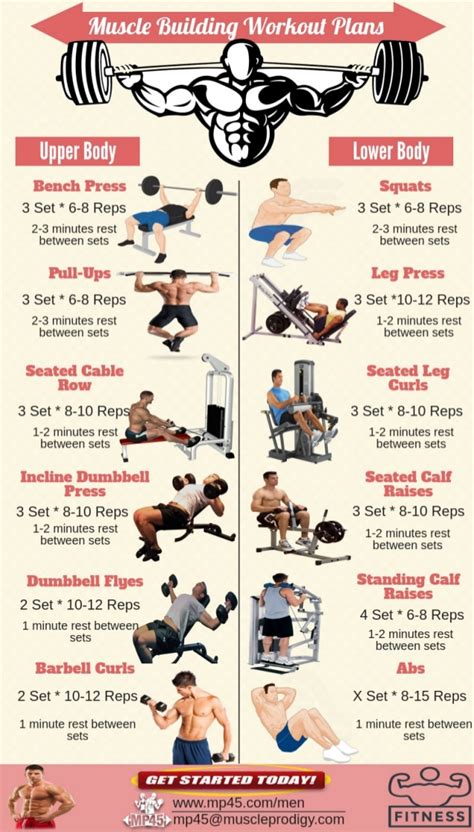 Muscle Building Workout Routine For Men Workout Routine For Men Muscle Building Workout Plan