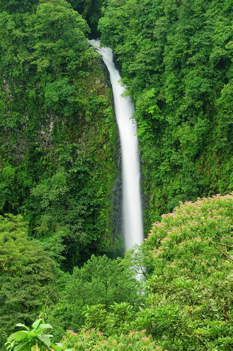 Waterfall Pictures Of The Tropical Rainforest Bmp Urban