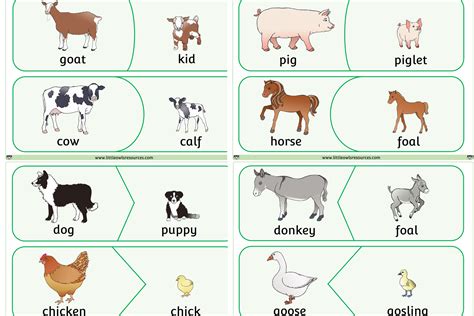 7 Farm Animals Cards Pattern For Infants Amp