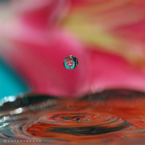 Split Second Water Drop Refraction Photography On Behance