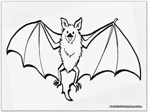 Printable Pictures Of Bats Coloring Home 2480 The Best Porn Website