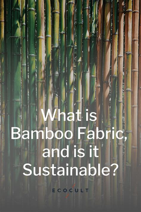 Greenwashing Alert What Is Bamboo Fabric And Is It Sustainable Ecocult