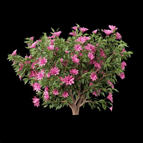 Collection Flowering Bush Vol 8 3d Model Cgtrader