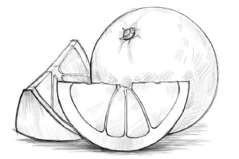 ¿Quieres aprender a dibujar diferentes frutas? Toma nota Jardineria On