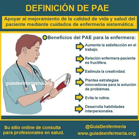 DefiniciÓn Del Pae GuÍa De EnfermerÍa