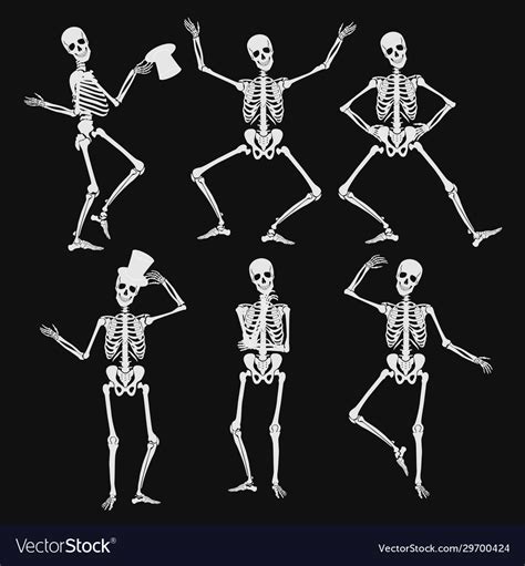 Homan Skeletons Silhouettes In Different Poses Vector Image
