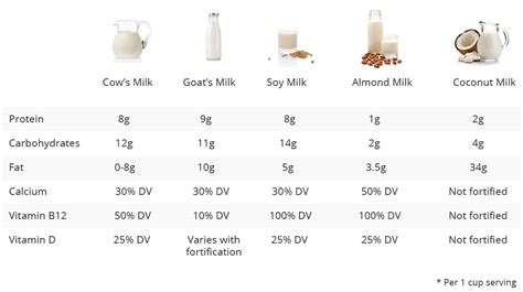 Dairy Vs Non Dairy Which Milk Should You Choose