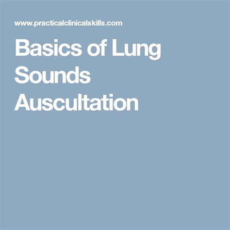 Basics Of Lung Sounds Auscultation Lung Sounds Lunges Basic