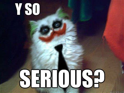 Why So Serious Why So Serious Cat Quickmeme