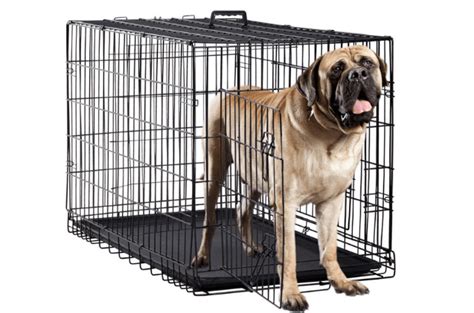 Read On To Find Out Why Crating Could Help Your Dog And Which Large Dog