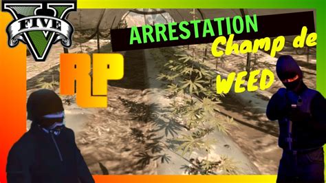 Temps Fort Gta5 Rp Fr Arrestation Champ De Weed Youtube